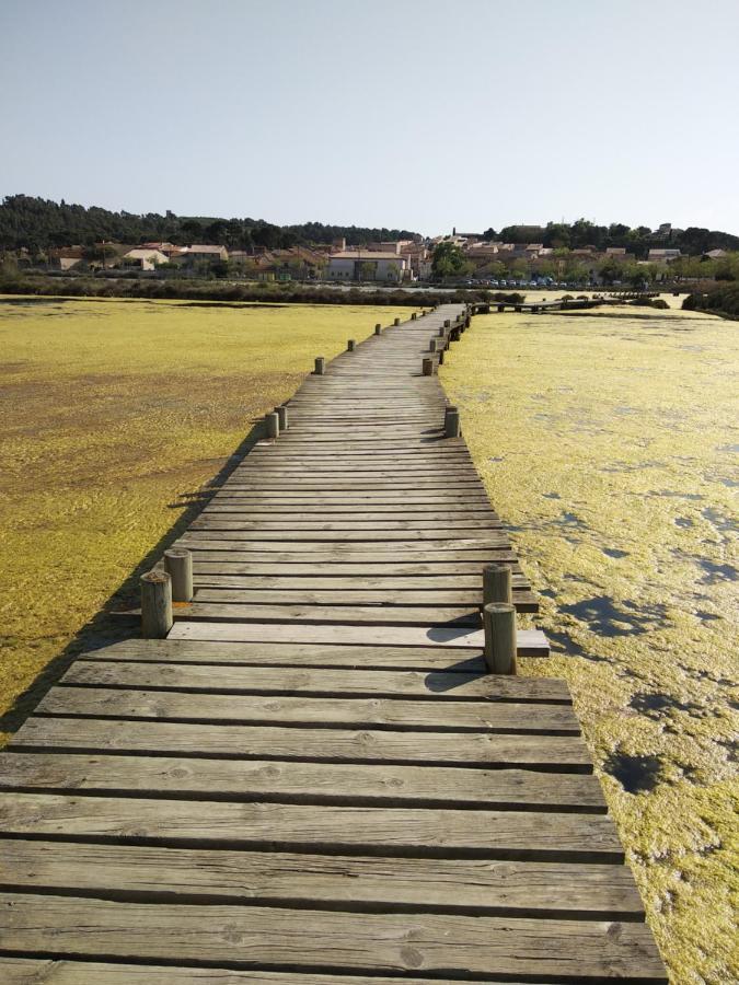 Narbonne Studio Renove Centre Ville 外观 照片